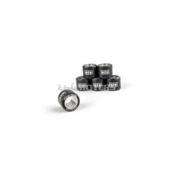 Variator Roller Weights (x6) Stage6 19x15.5mm - 4.75g