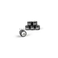 Variator Roller Weights (x6) Stage6 19x15.5mm - 5.50g