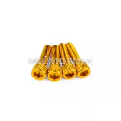 STR8 szívócsonk csavarkészlet M6x25mm, alu, arany, 4 db