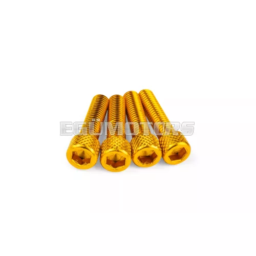 STR8 szívócsonk csavarkészlet M6x25mm, alu, arany, 4 db