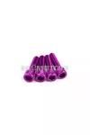 STR8 szívócsonk csavarkészlet M6x25mm, alu, lila, 4 db