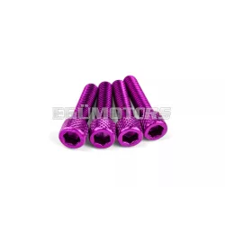 STR8 szívócsonk csavarkészlet M6x25mm, alu, lila, 4 db