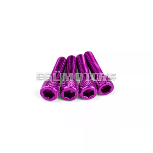 STR8 szívócsonk csavarkészlet M6x25mm, alu, lila, 4 db