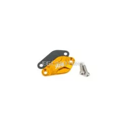 Oil Pump Cover Str8 AM6 / Derbi Gold