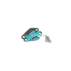 Oil Pump Cover Str8 AM6 / Derbi Neochrome