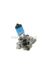 Halogen Bulb STR8 extra white XENON P26S 12V / 20W