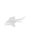 Front Side Panel left Beta RR 2011 - 2020 White