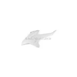 Front Side Panel left Beta RR 2011 - 2020 White