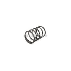 Torque Spring 2Fast 100cc black Minarelli / Piaggio