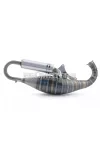 Exhaust 2Fast FL100 for Malossi C-One / RC-One crankcase