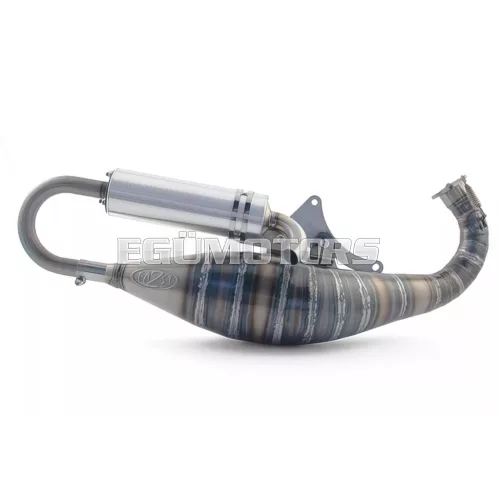 Exhaust 2Fast FL100 for Malossi C-One / RC-One crankcase